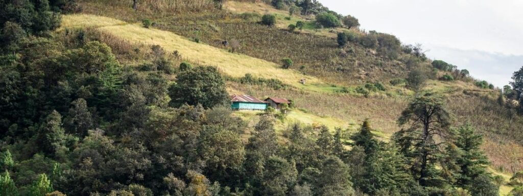 Scenic landscape view of a smallholder coffee farm in rural Guatemala, showing cultivated fields on a forested slope where the Best Guatemalan Coffee Beans thrive.