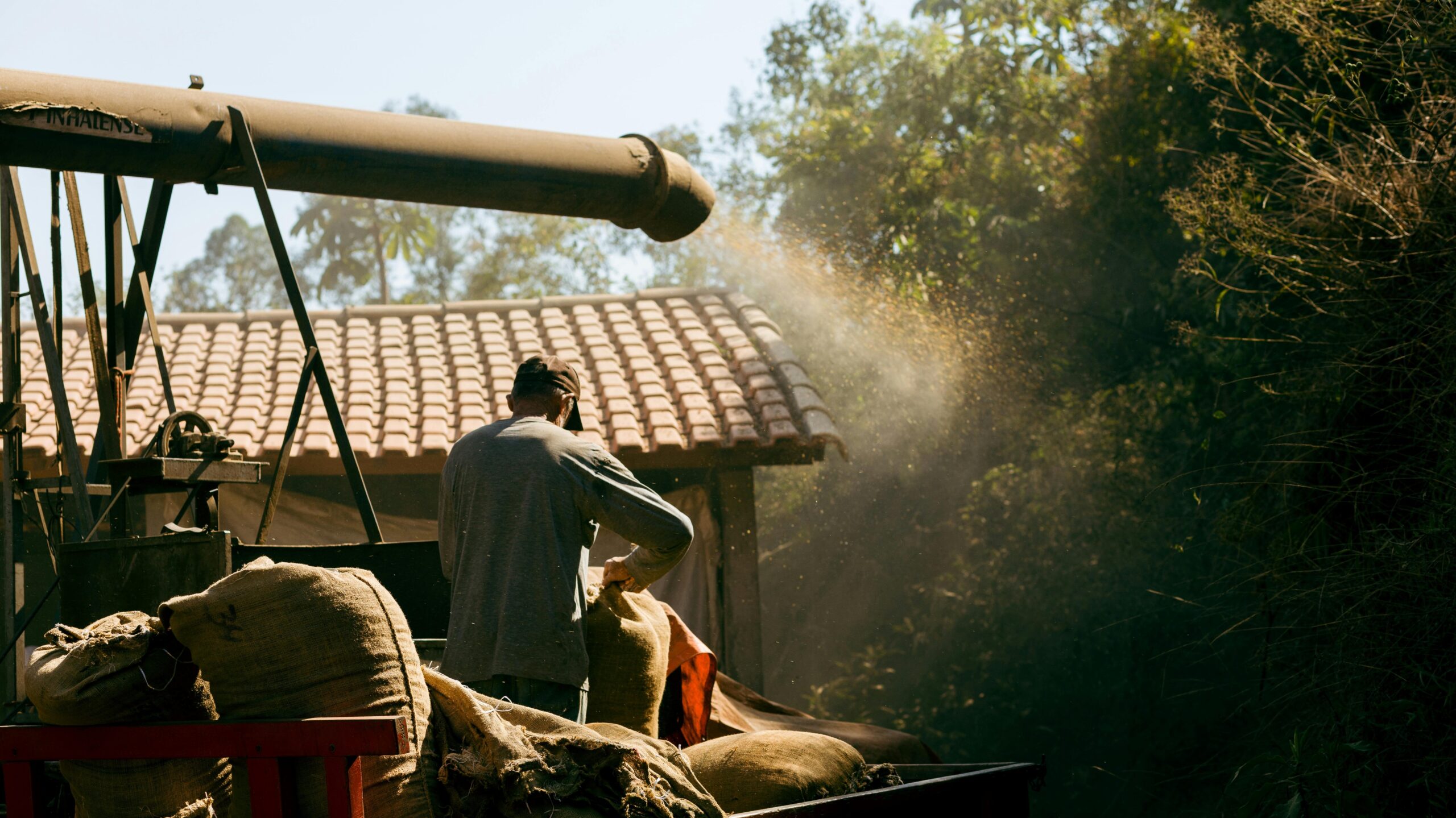 Coffee worker handling burlap sacks during coffee processing in Guatemala highlighting traditional post-harvest practices