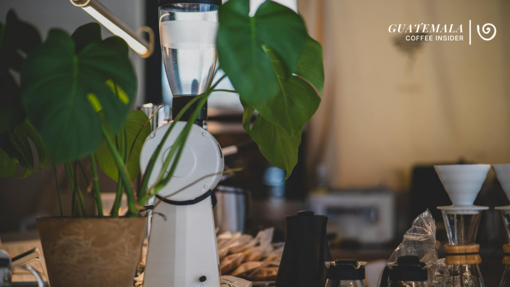 Premium burr grinder and pour-over setup for brewing single-origin Guatemalan coffee.