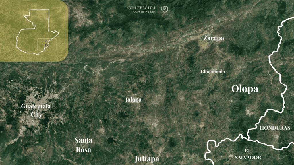 Satellite map of Guatemala highlighting the Nuevo Oriente coffee region, including Olopa and surrounding coffee-growing areas.